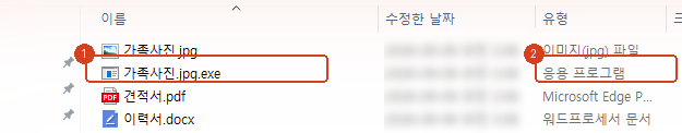 확장명을 표시한 같은 파일 목록. 실행 파일의 정체가 드러난다